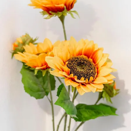 Sunflowers House Cozy Old Town House * Olhão